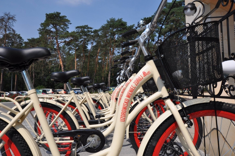 Sanatorium „Jutrzenka – Wrzos” w Wieńcu-Zdroju