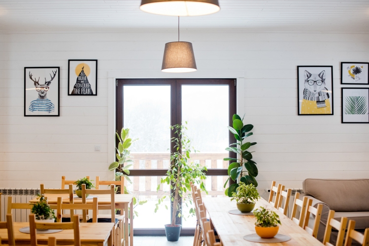 Gospodarstwo agroturystyczne „Buczynowa Dolina” w Wapiennem