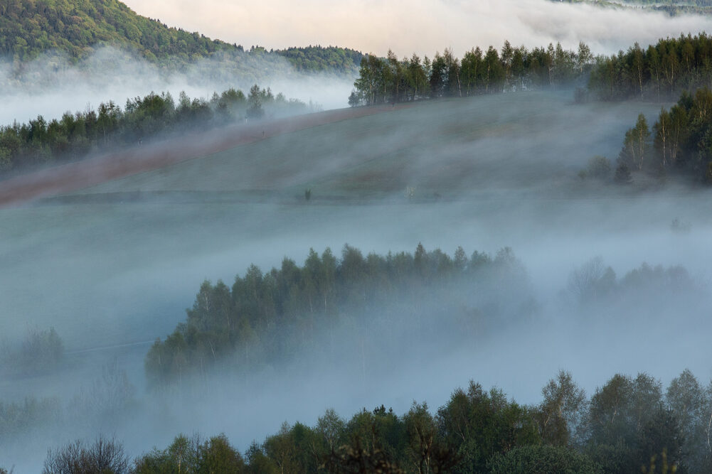 Apartamenty „Celestynka” w Rymanowie-Zdroju