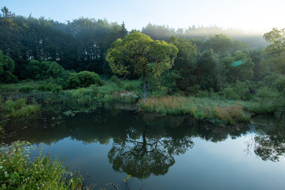 Apartamenty „Celestynka” w Rymanowie-Zdroju