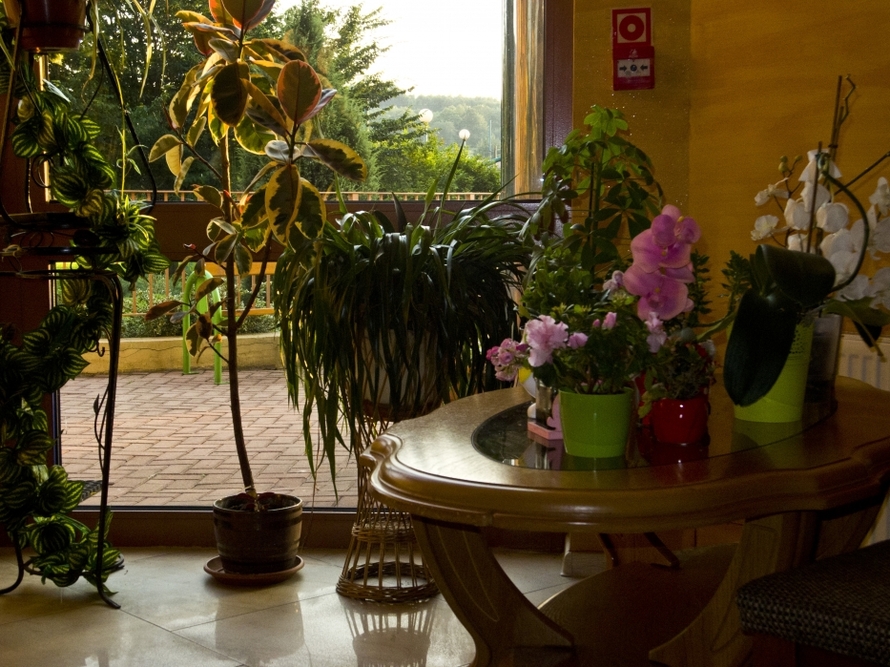 Rezydencja dla seniorów „Złote Borki” w Jarnołtówku