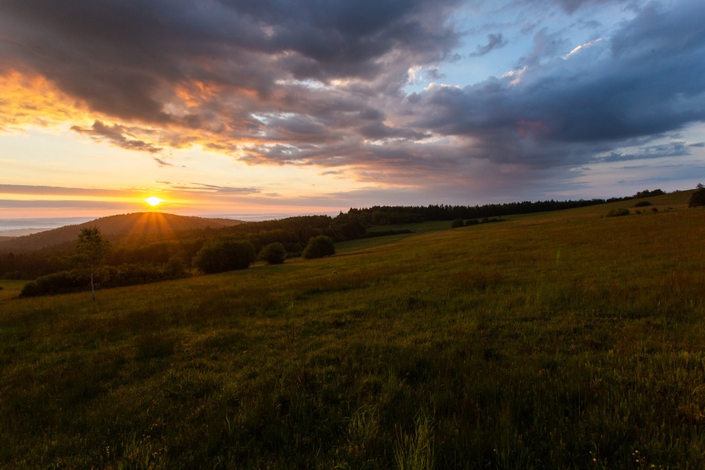 Sanatorium Uzdrowiskowe „Eskulap" w Rymanowie-Zdroju
