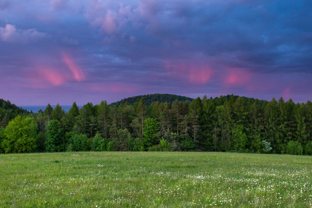 Sanatorium Uzdrowiskowe „Eskulap" w Rymanowie-Zdroju