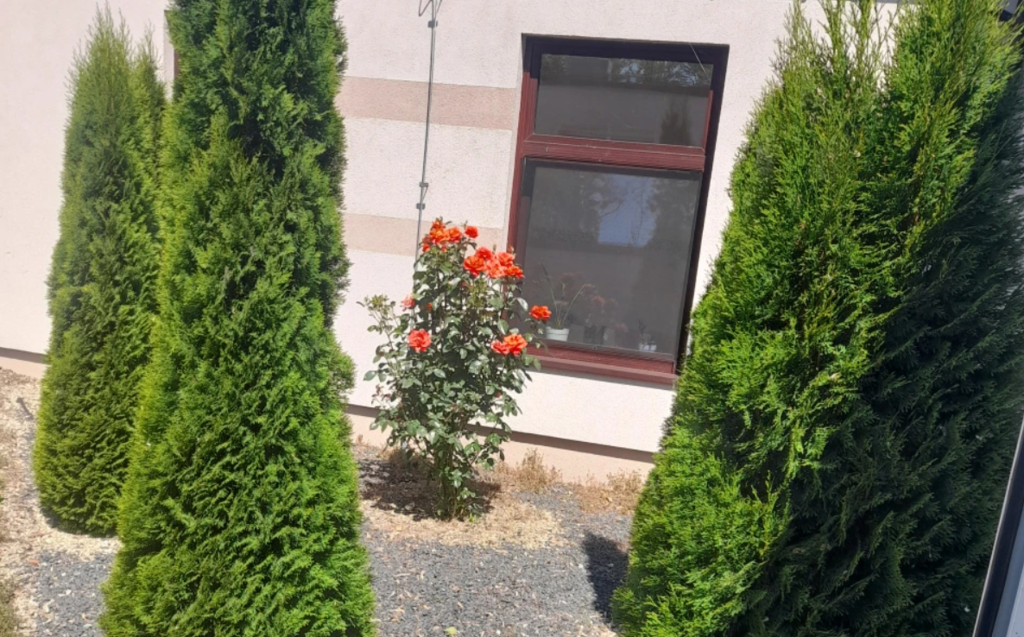 Placówka Całodobowej Opieki „Zacisze” w Piotrowicach