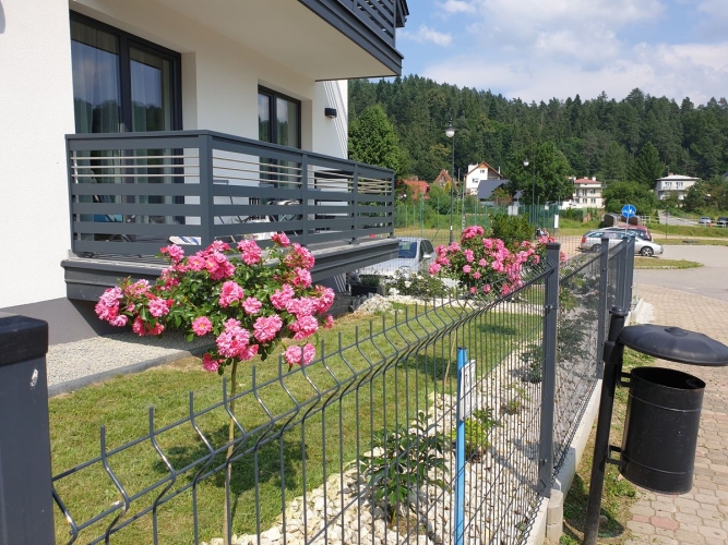 Willa Vita w Muszynie