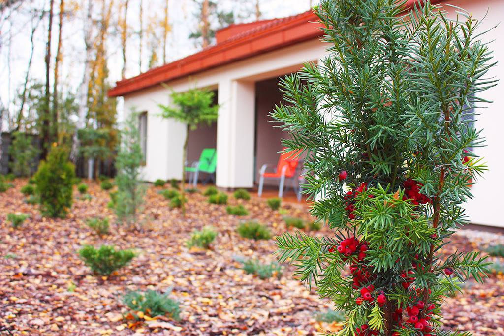 Mieszkania asystowane „Senior Apartments” w Majdanie