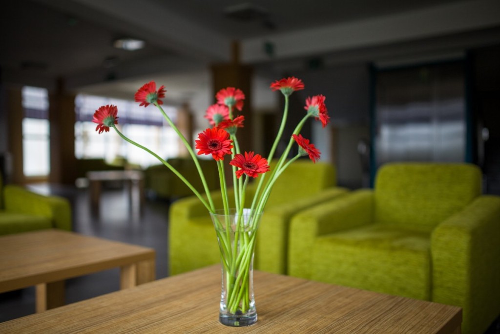 Hotel „NAT Jawor” w Sarbinowie