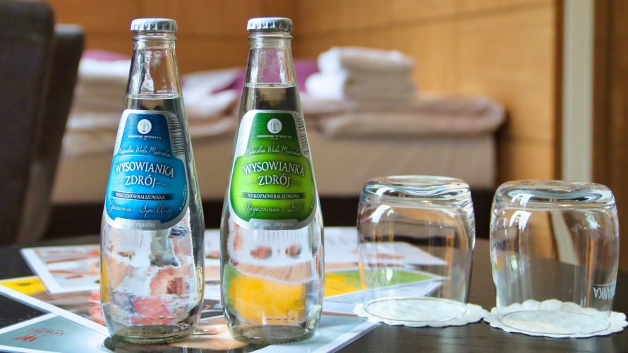 Boutique Eco Hotel „Sasanka” w Szklarskiej Porębie