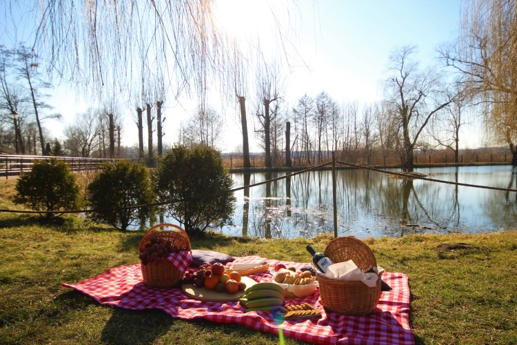 Zacisze nad Nidą Resort w Pińczowie