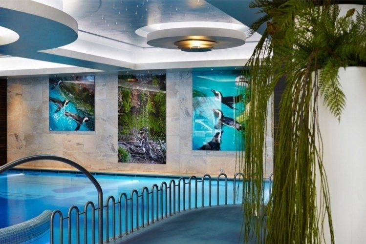 Hotel & SPA „Czarny Groń” w Rzykach