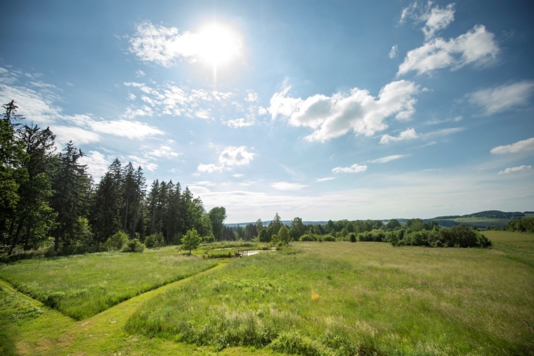 Agroturystyka ,,Dom na Leśnej Górze” w Miłoszowie