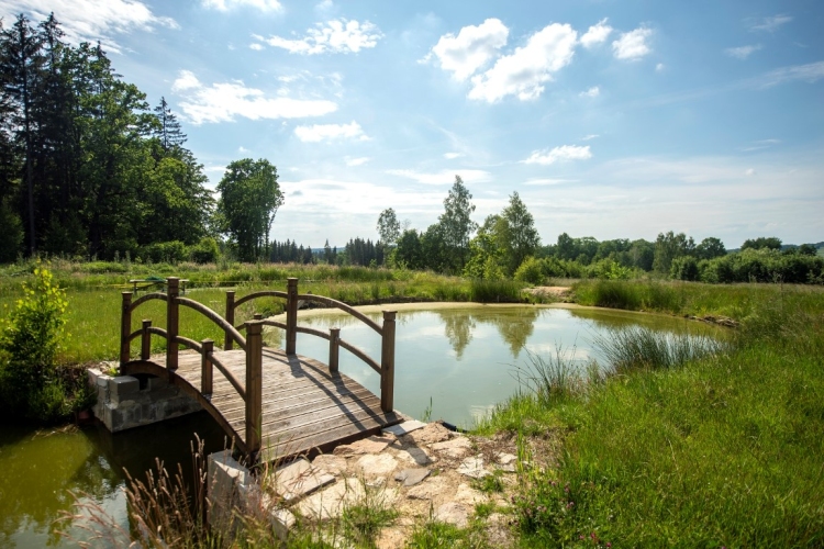 Agroturystyka ,,Dom na Leśnej Górze” w Miłoszowie