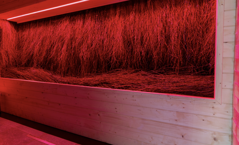 Panorama Resort & Spa w Krynicy-Zdroju