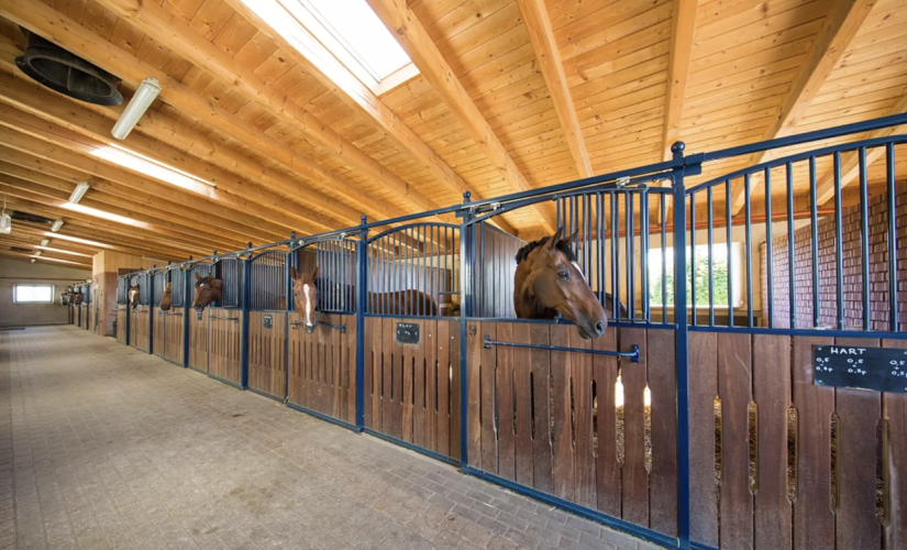 Hotel „Szary Residence” w Michałowicach