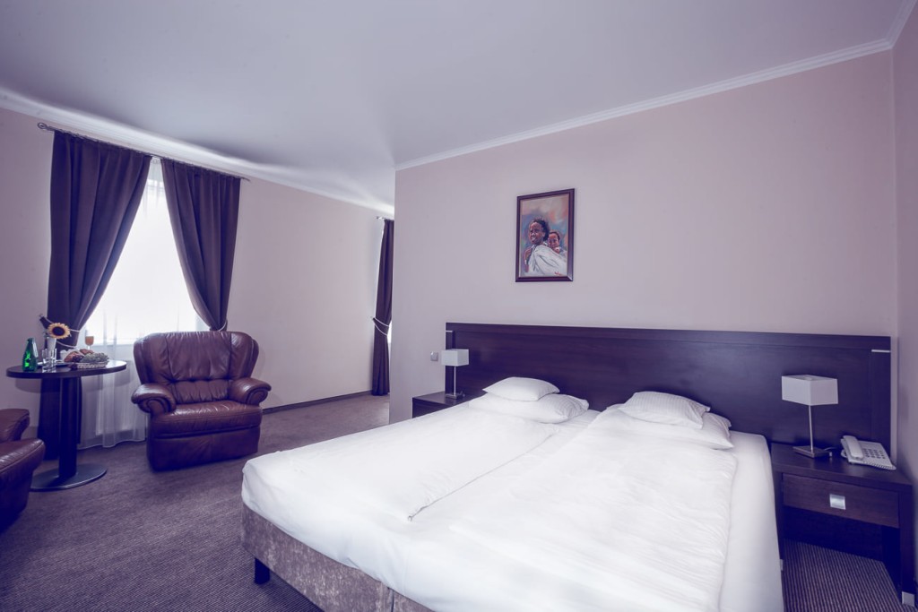 Hotel Niemcza Wino & SPA w Niemczy