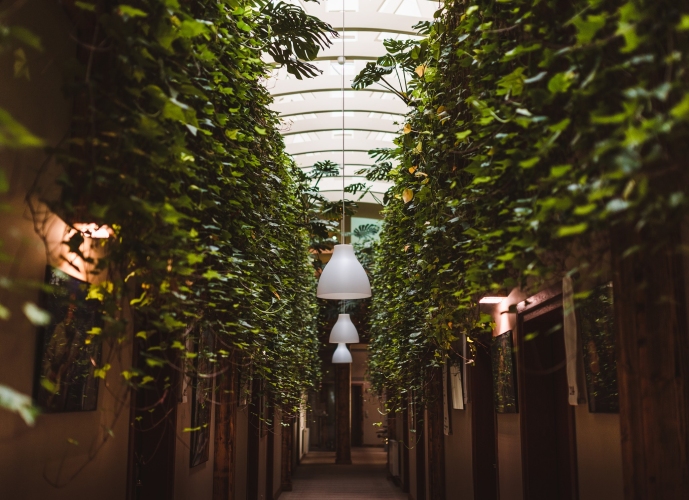 Hotel & SPA Młyn Jacka w Jaroszowicach