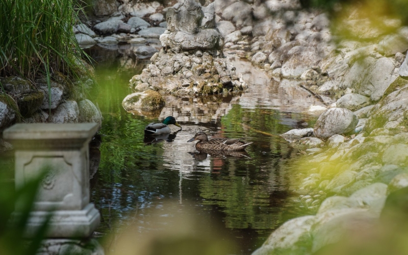 Ośrodek Rehabilitacyjny Leśna Polana w Ustroniu Morskim