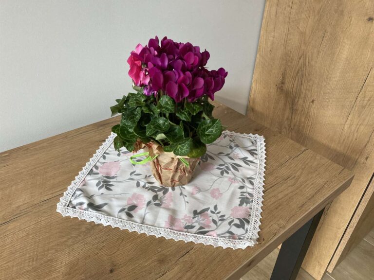 Dom Seniora Zielony Zakątek w Trzemesznie