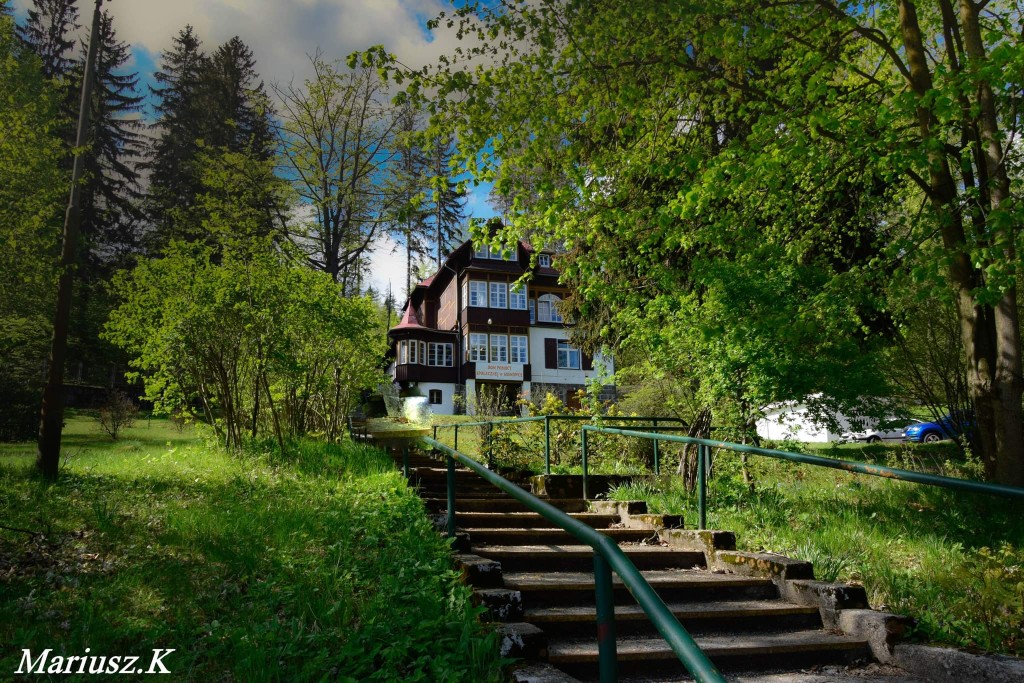 Dom Pomocy Społecznej w Sosnówce leży w cichej i zielonej okolicy