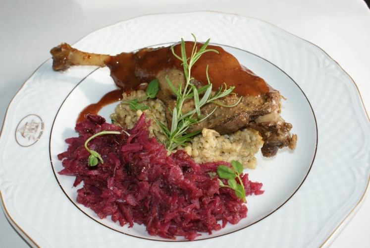 Dwór Anna w Jakubowicach Konińskich