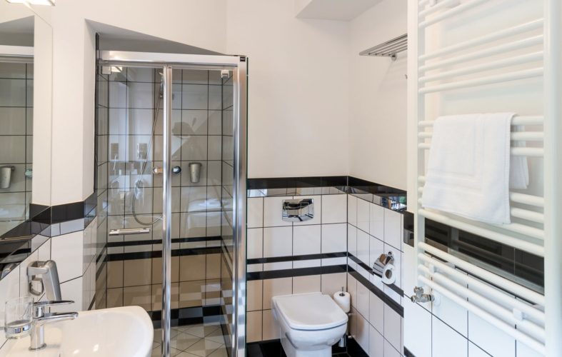 Villa Alina MEDICAL & SPA w Polanicy-Zdroju