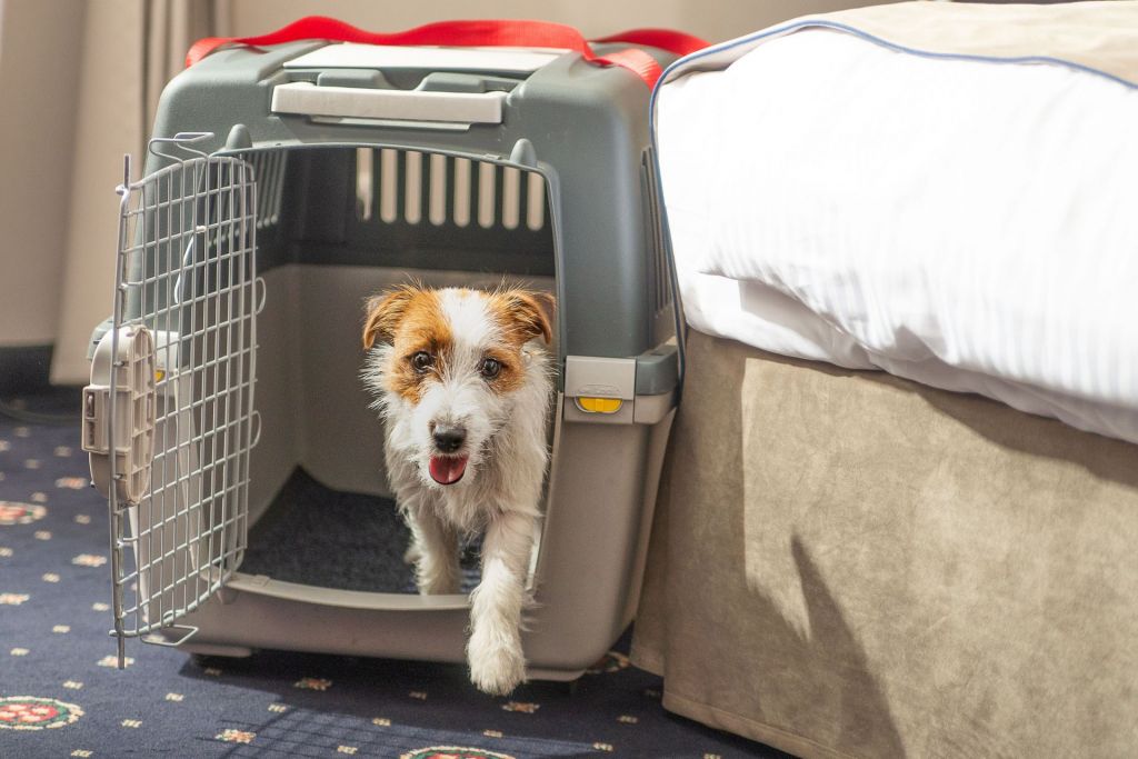 Park Hotel Łysoń w Inwałdzie