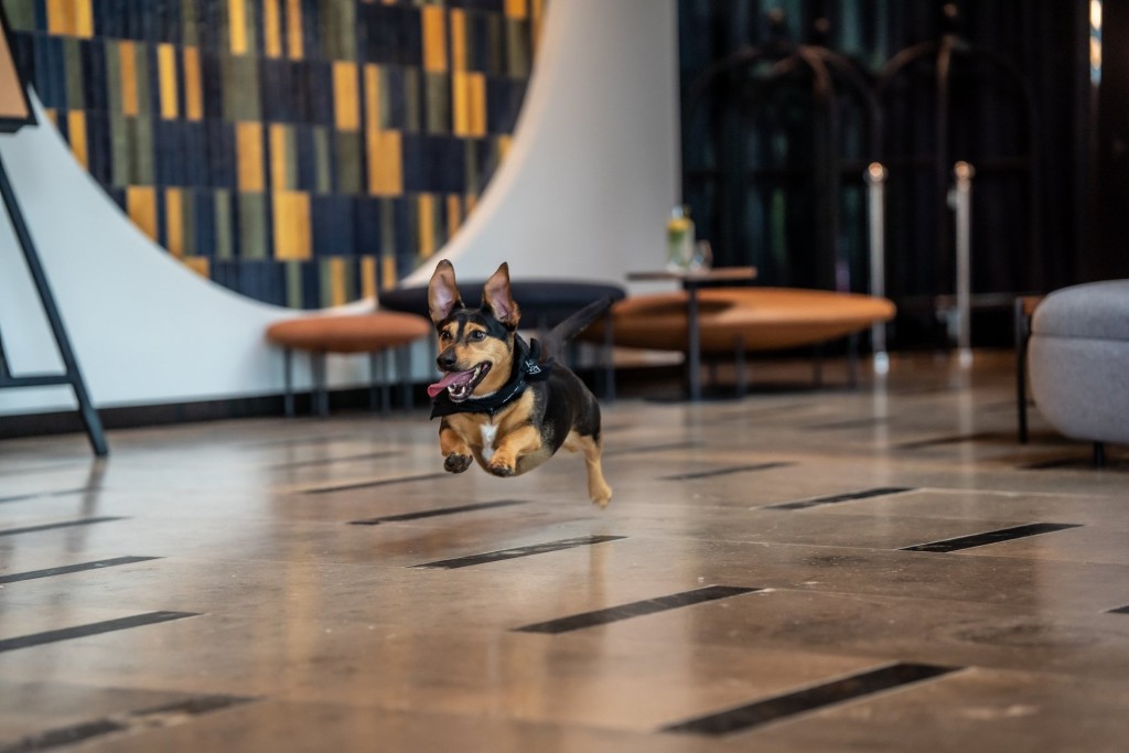 Hotel BELMONTE w Krynicy-Zdroju