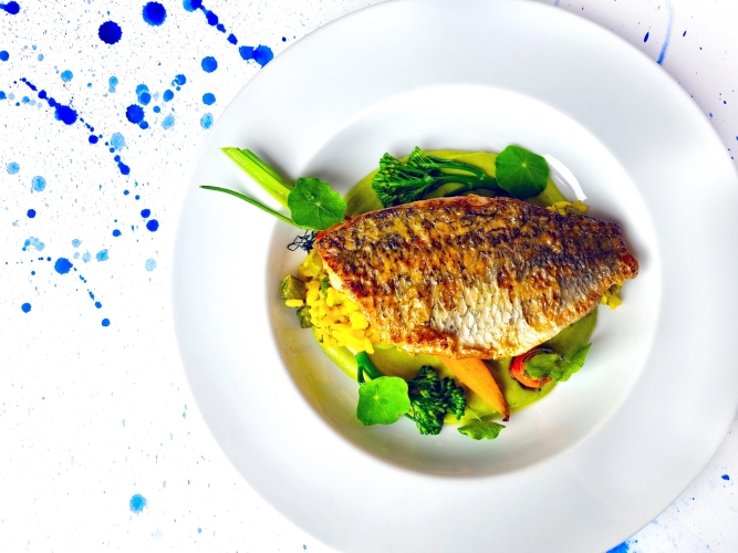 Tristan Hotel & SPA w Kątach Rybackich