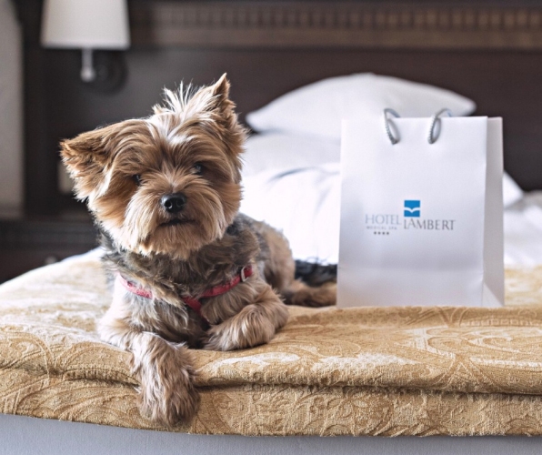 Hotel Lambert Medical SPA w Ustroniu Morskim