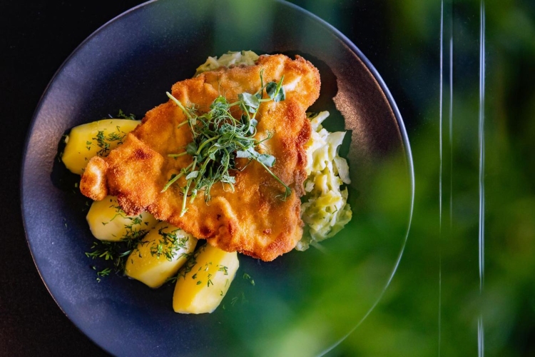 Termy Warmińskie w Lidzbarku Warmińskim