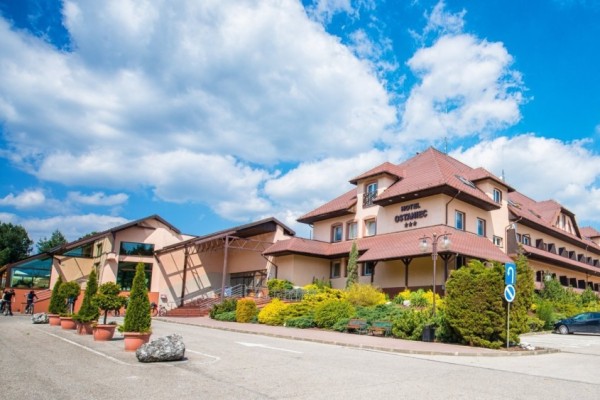 Hotel Ostaniec w Podlesicach