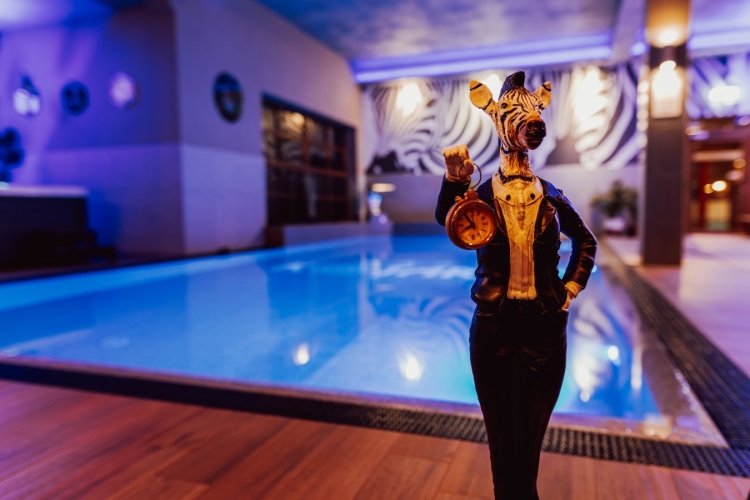 Hotel Kotarz Spa & Wellness w Brennej