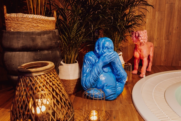 Hotel Kotarz Spa & Wellness w Brennej