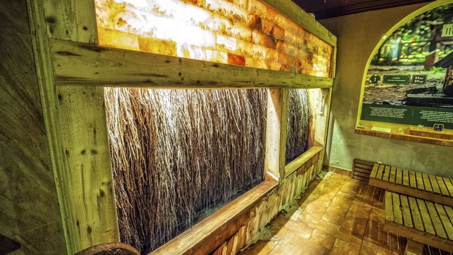 Hotel Senator w Starachowicach