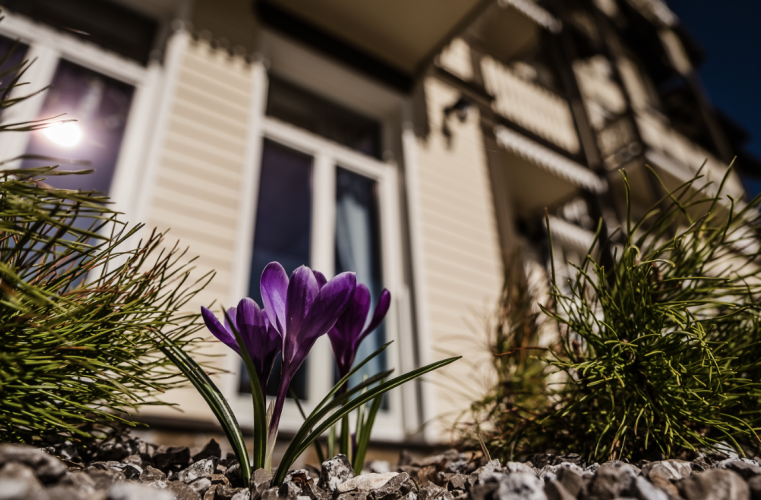Hotel Willa Tatrzańska w Krynicy-Zdroju