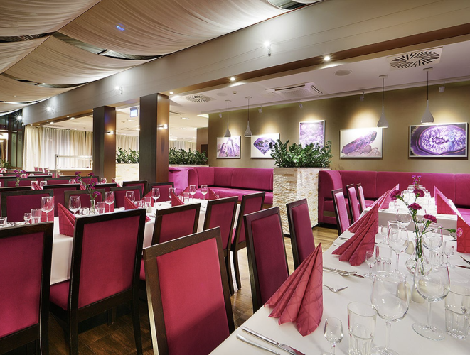 Cottonina Hotel & Mineral SPA Resort w Świeradowie-Zdroju