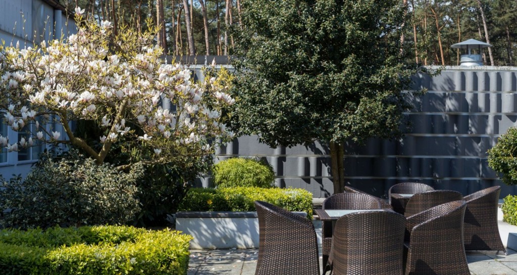 Jantar Medical Spa w Dziwnówku