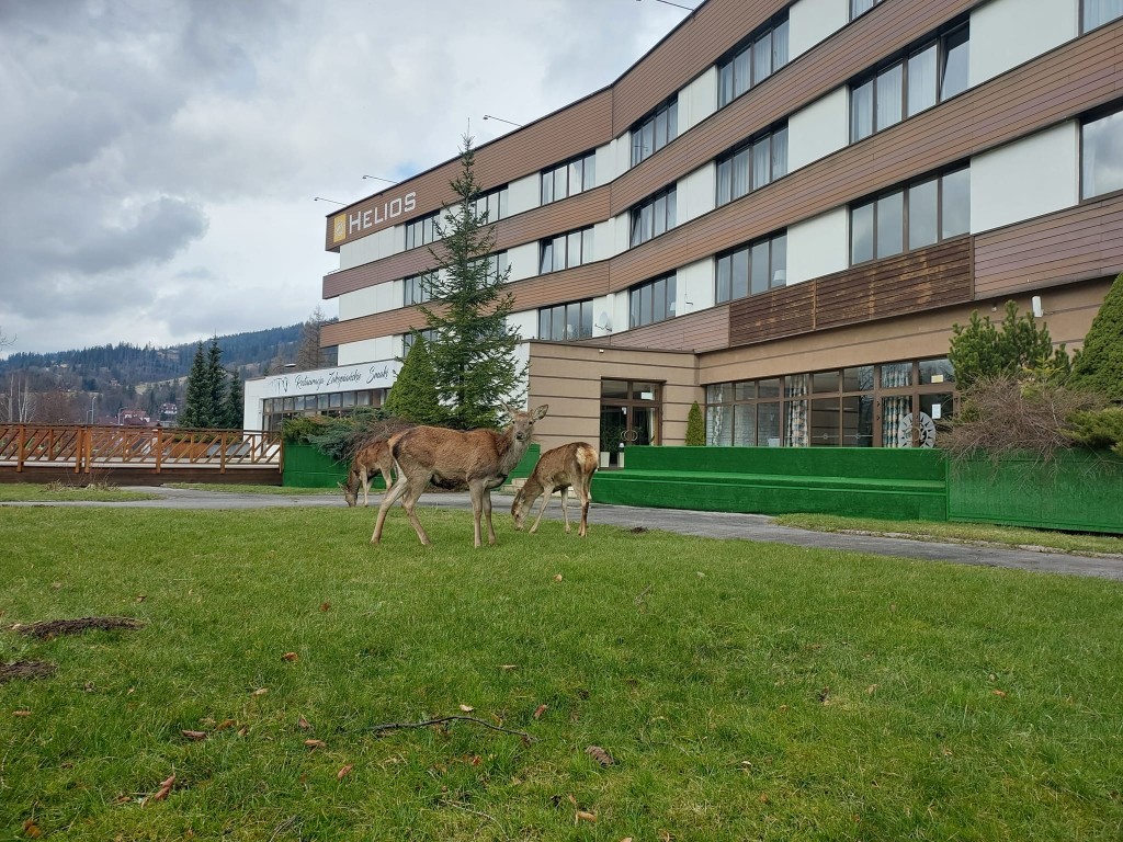 Hotel Helios w Zakopanem