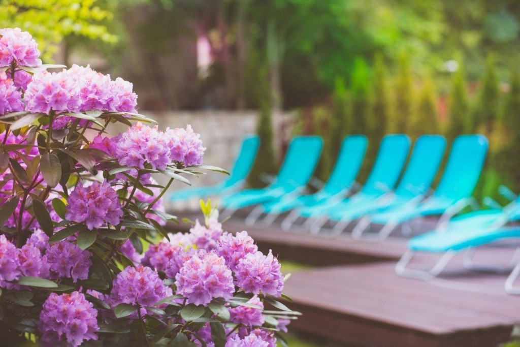 Hotel Konradówka Wellness & SPA w Karpaczu