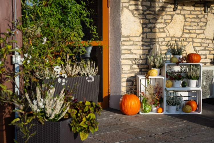 Hotel Łokietek w Czajowicach