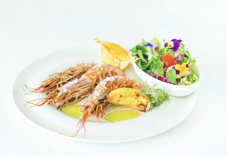 Hotel Kozerki w Kozerkach