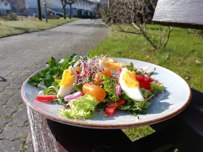 Ośrodek Rehabilitacyjno-Wypoczynkowy DOZAMEL w Kołobrzegu