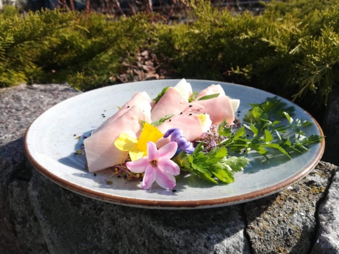 Ośrodek Rehabilitacyjno-Wypoczynkowy DOZAMEL w Kołobrzegu