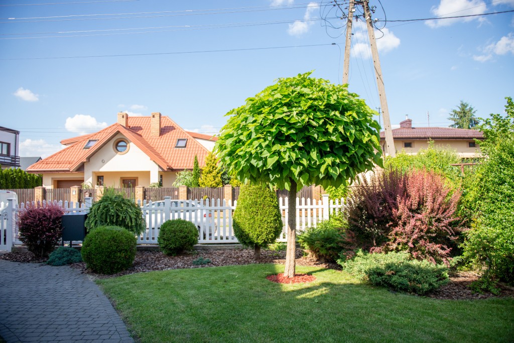 Dom Opieki Afirmacja Życia w Radzyminie
