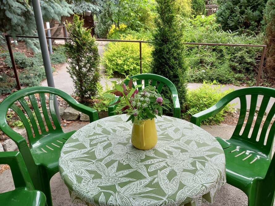 Dom Seniora Jutrzenka w Nowym Dworze Mazowieckim dysponuje urokliwym ogrodem