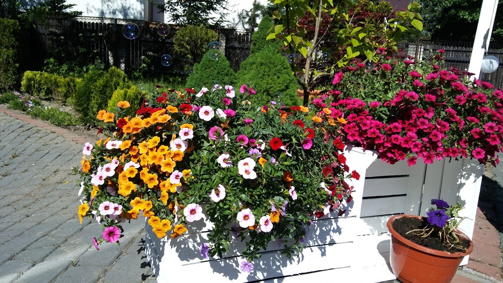 Dom Opieki Grażyna w Warszawie