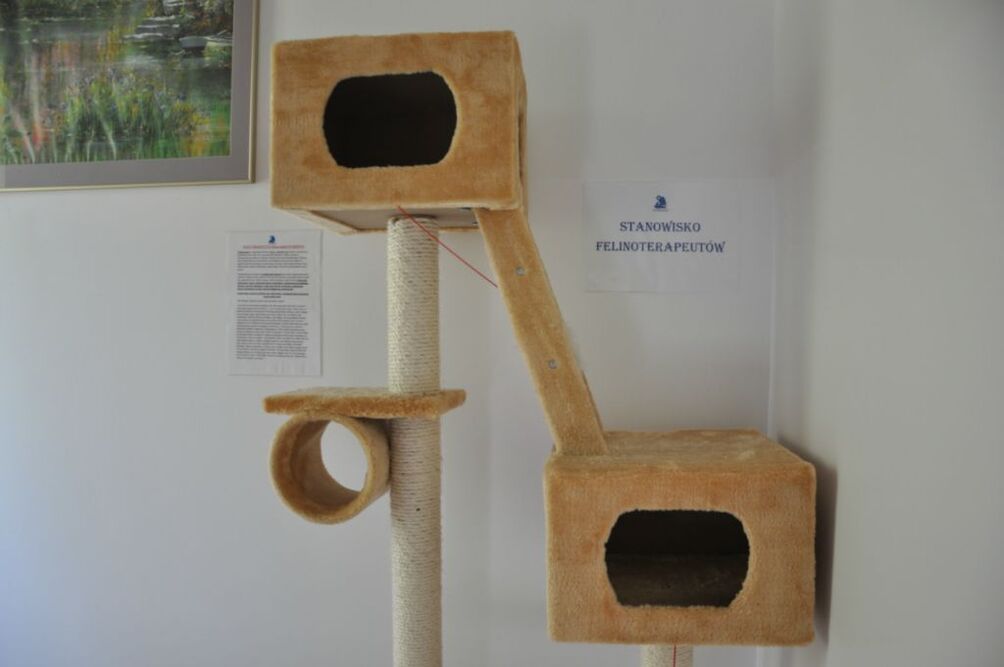 Dom Opieki Patronus w Kalinówce