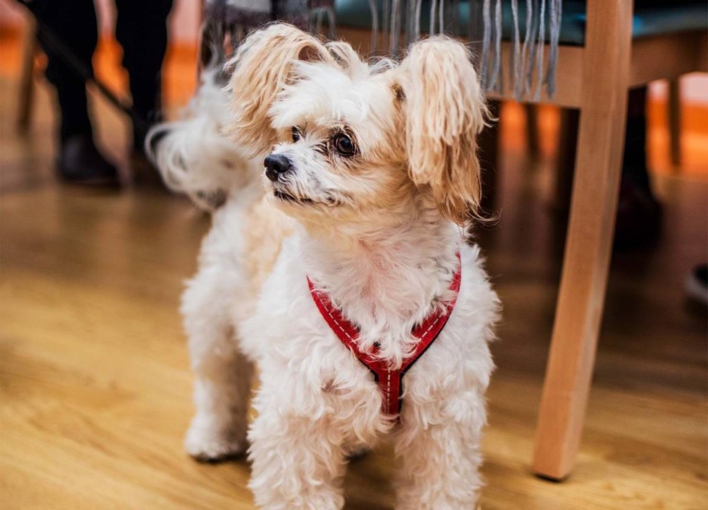 Dom Opieki Ambrozja w Łodzi