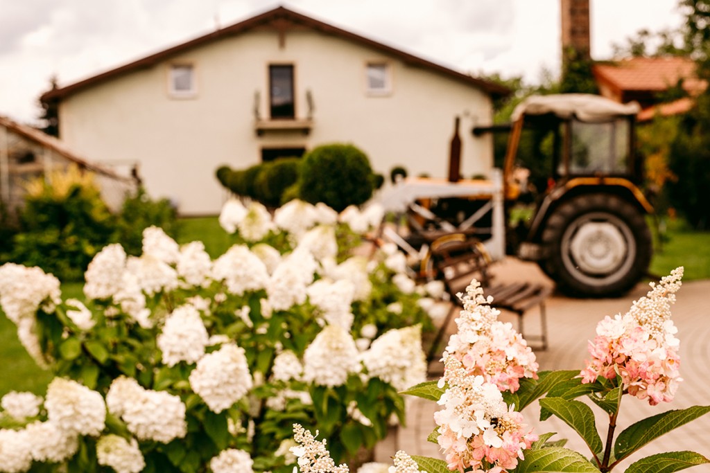 Prywatny Dom Opieki Złota Jesień w Jabłonnie