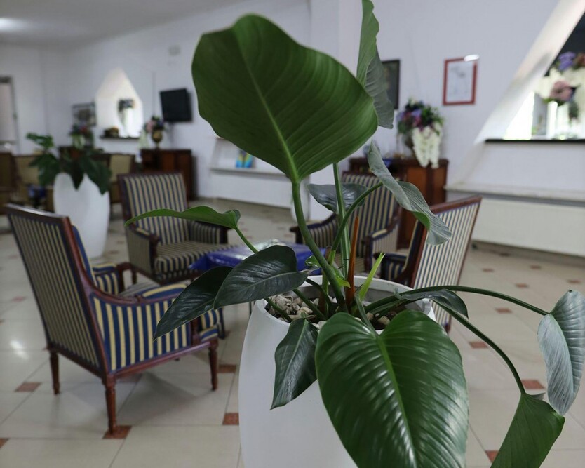 Dom Seniora Marion- Pod Dobrym Aniołem w Gzowie